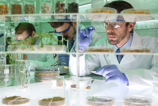 Three researchers in lab coats and safety glasses examining samples in a laboratory.